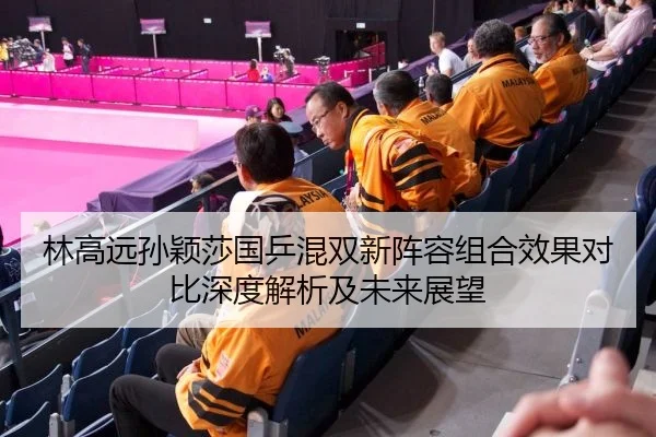 林高远孙颖莎国乒混双新阵容组合效果对比深度解析及未来展望